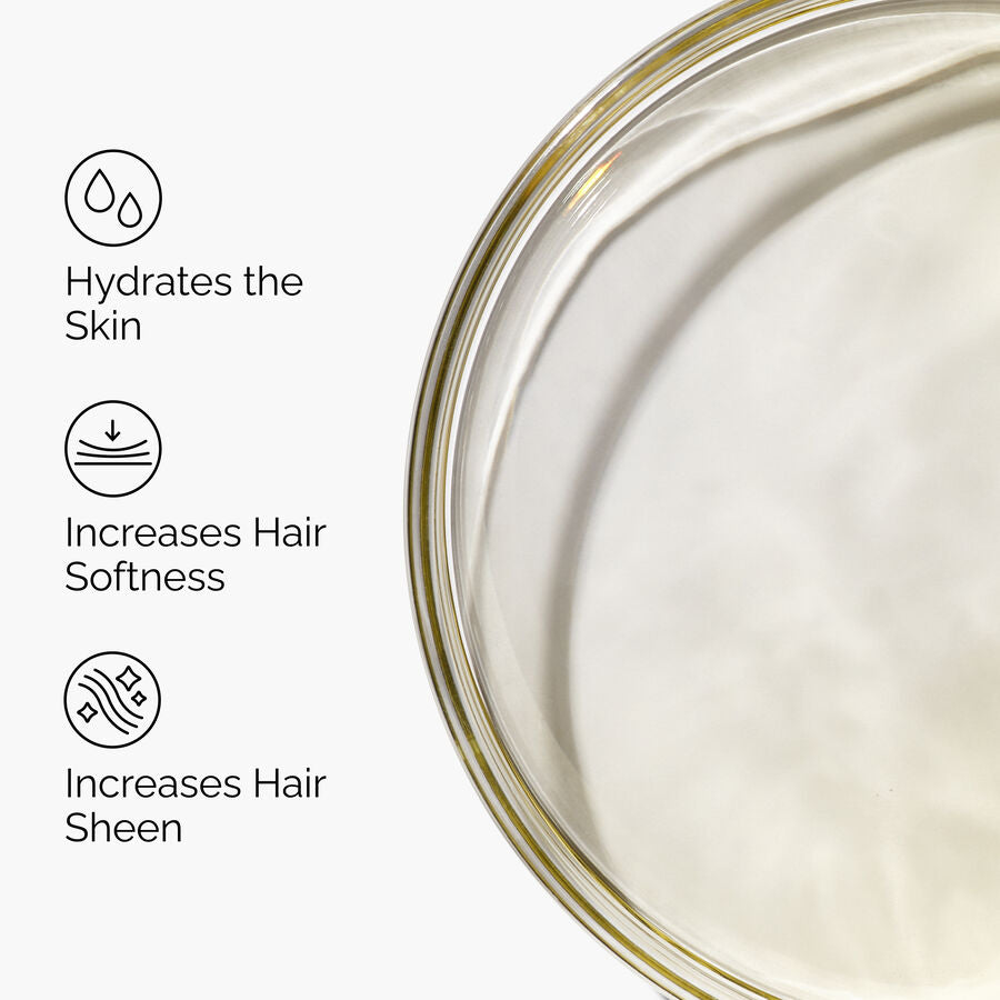 100-organic-cold-pressed-moroccan-argan-oil-t8 FY25-D41247-ORD-Web-PDP-100-Argan-Oil-1x1-EN-3.jpg