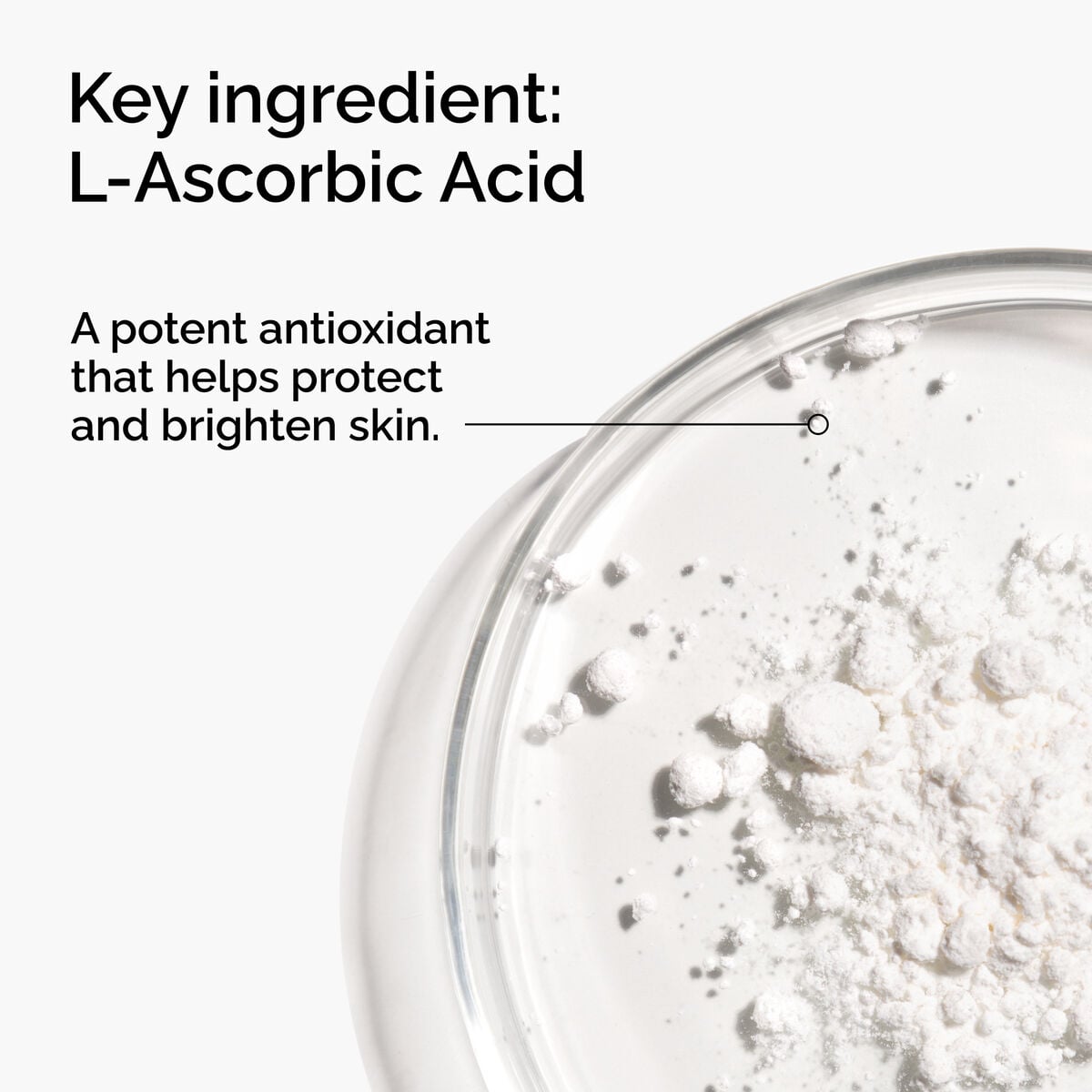 100-l-ascorbic-acid-powder-b2 FY25-D41247-ORD-Web-PDP-100-LAscb-Pwd-1x1-EN-2a.jpg