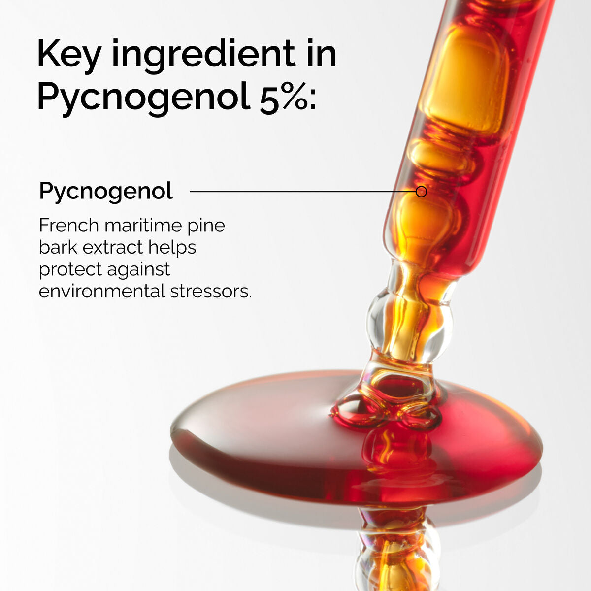 pycnogenol-5-r7 FY25-D41247-ORD-Web-PDP-Pyc-5pct-1x1-EN-2a.jpg