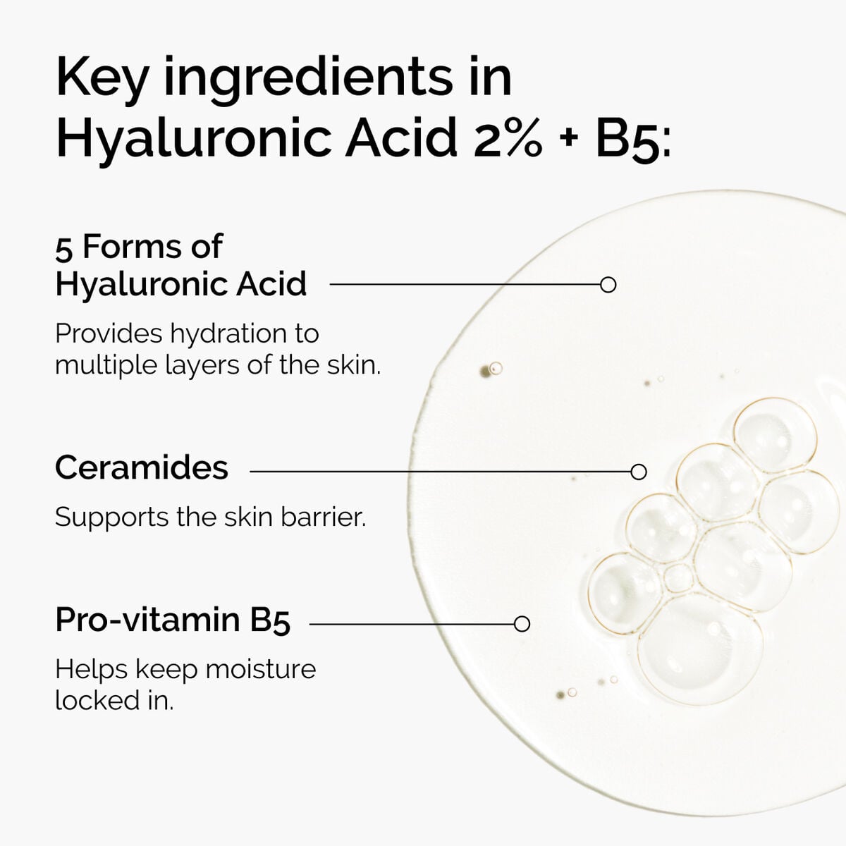 hyaluronic-acid-2-b5-with-ceramides-p8 ord-hyaluronic-acid-2pct-b5-hydrating-serum-ingredients-graphic.jpg