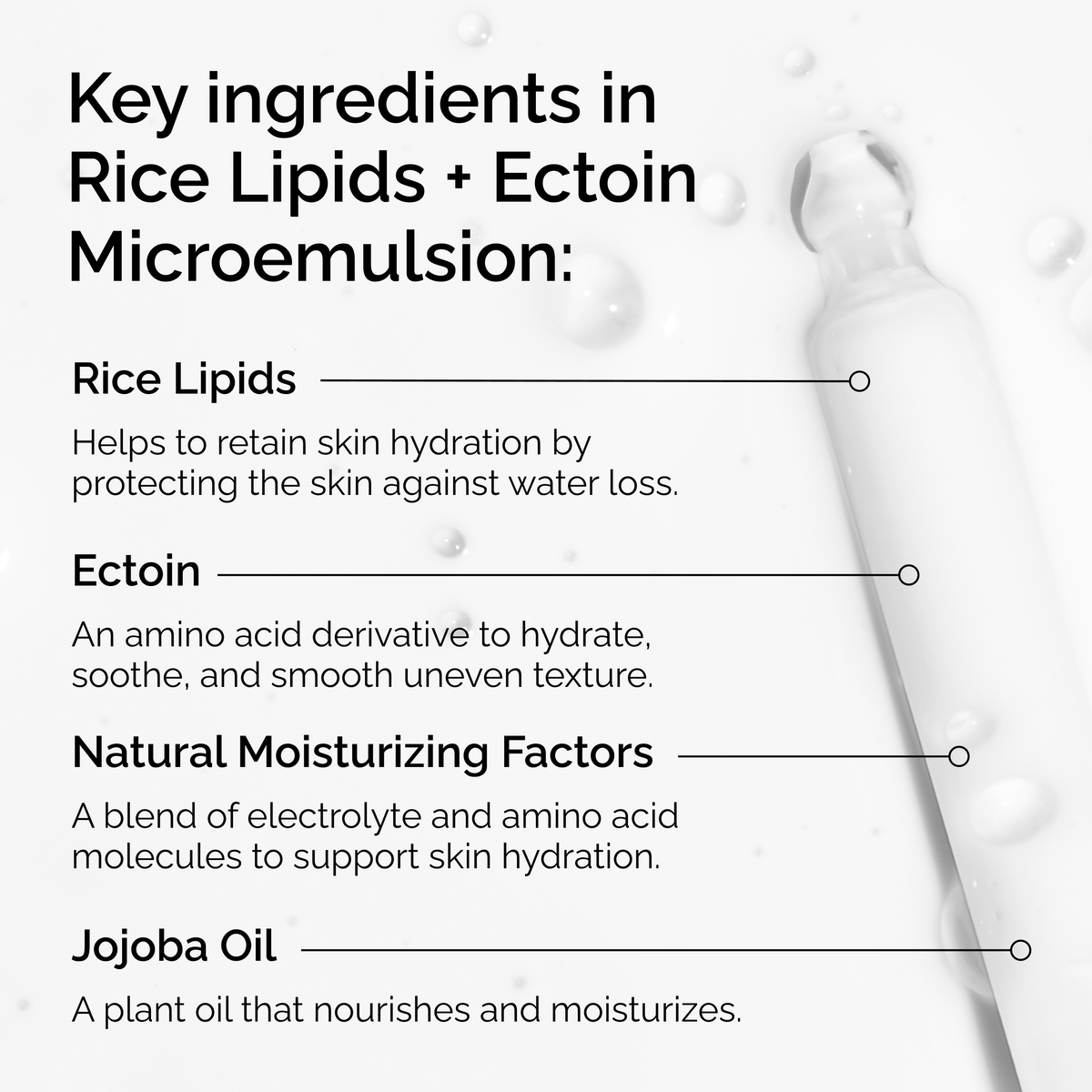 rice-lipids-ectoin-microemulsion-p5 ord-rice-lipids-ectoin-microemulsion-key-ingredients.png