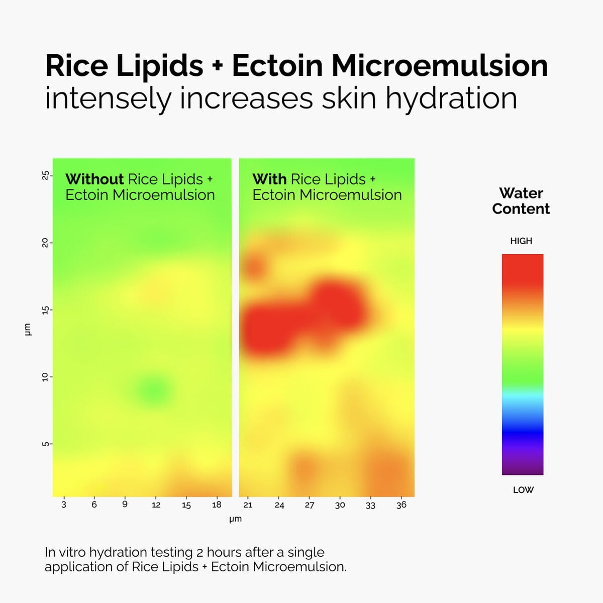 rice-lipids-ectoin-microemulsion-p5 ord-rice-lipids-ectoin-microemulsion-thermal-before-after.jpg